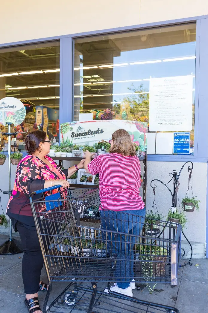 Employment Opportunities for Adults